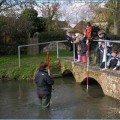 Letcombe Brook Project
